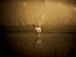 photo-1439436556258-1f7fab1bfd4f masterstudy_placeholder